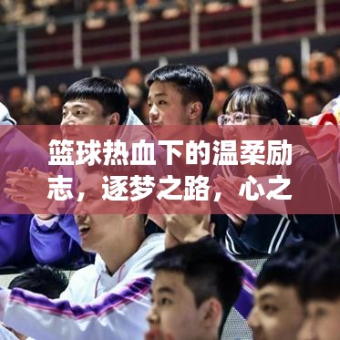 篮球热血下的温柔励志，逐梦之路，心之所向