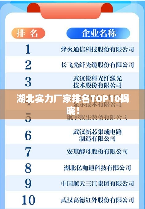 湖北实力厂家排名TOP10揭晓！