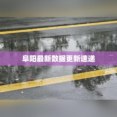 阜阳最新数据更新速递