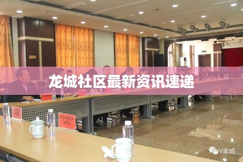 龙城社区最新资讯速递