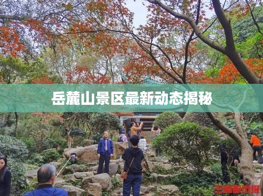 岳麓山景区最新动态揭秘