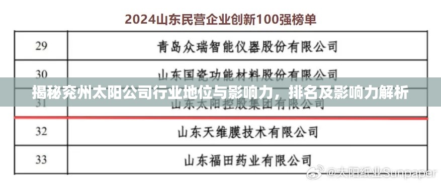 揭秘兖州太阳公司行业地位与影响力，排名及影响力解析