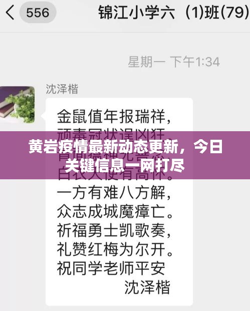 黄岩疫情最新动态更新，今日关键信息一网打尽