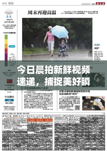 今日晨拍新鲜视频速递，捕捉美好瞬间的精彩瞬间独家报道