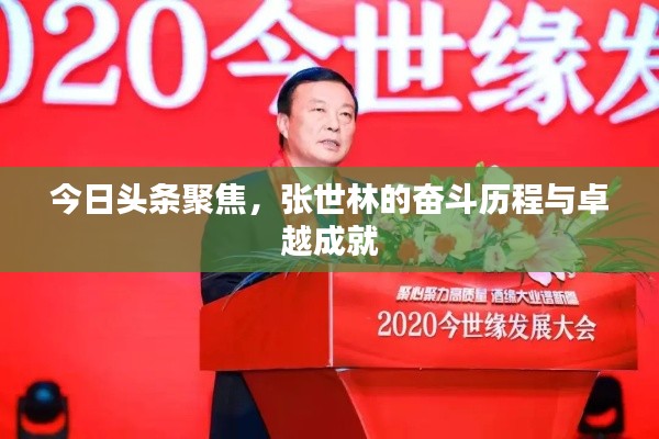 今日头条聚焦，张世林的奋斗历程与卓越成就