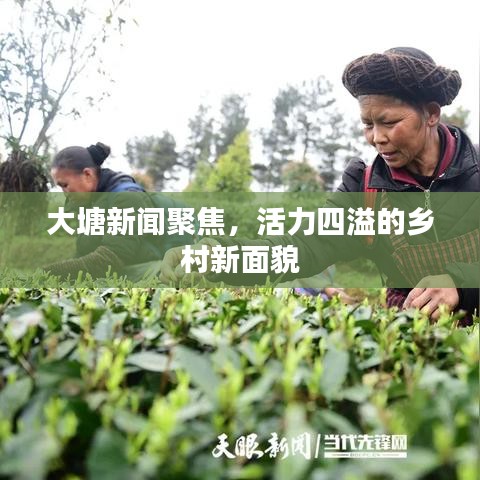 大塘新闻聚焦，活力四溢的乡村新面貌