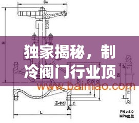 独家揭秘，制冷阀门行业顶尖工厂排名TOP 10！