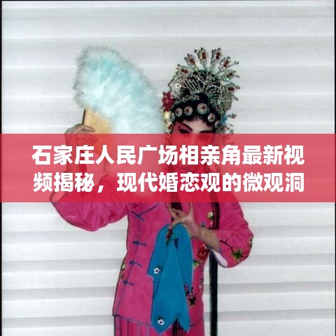 石家庄人民广场相亲角最新视频揭秘，现代婚恋观的微观洞察