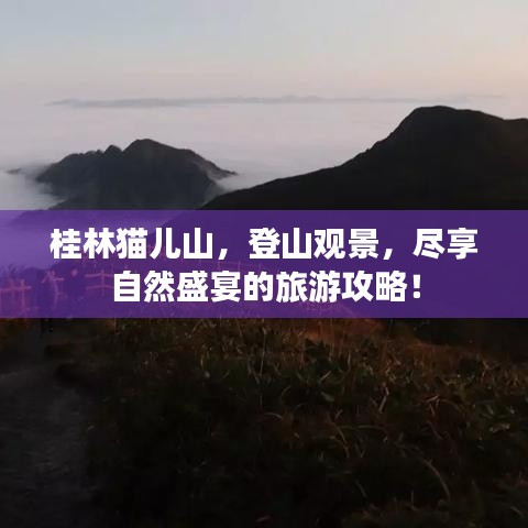 观往知来 第2页