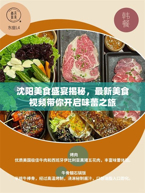 沈阳美食盛宴揭秘，最新美食视频带你开启味蕾之旅