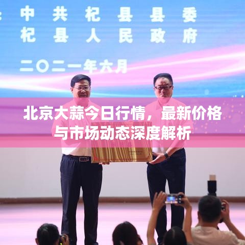北京大蒜今日行情，最新价格与市场动态深度解析