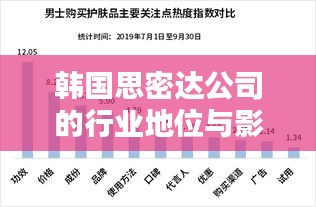 韩国思密达公司的行业地位与影响力解析