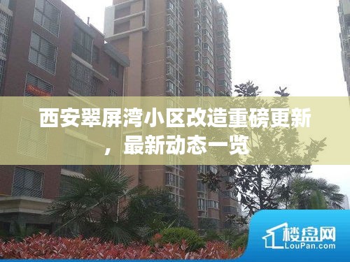 西安翠屏湾小区改造重磅更新，最新动态一览