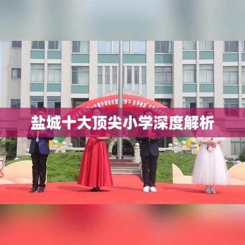 盐城十大顶尖小学深度解析