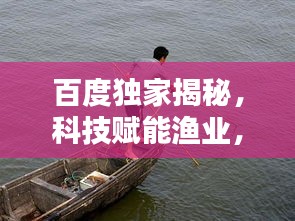 百度独家揭秘，科技赋能渔业，新款电鱼机引领智能捕鱼新时代