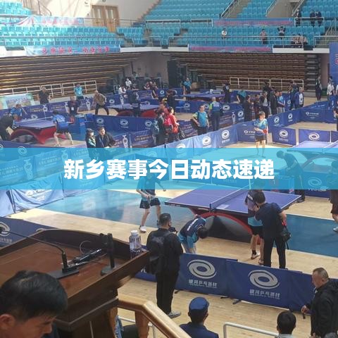 新乡赛事今日动态速递