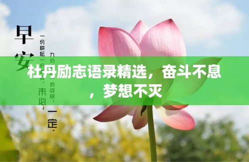 杜丹励志语录精选，奋斗不息，梦想不灭