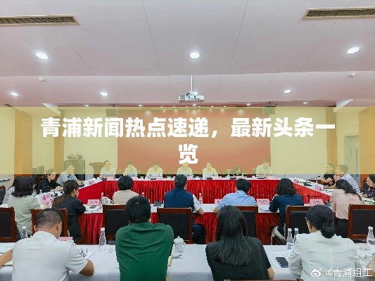 青浦新闻热点速递，最新头条一览