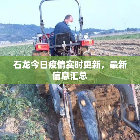 石龙今日疫情实时更新，最新信息汇总