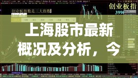 上海股市最新概况及分析，今日股市走势一览