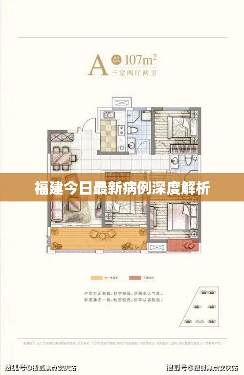 福建今日最新病例深度解析
