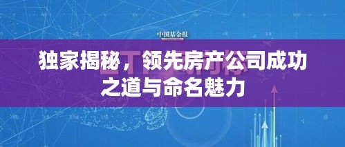 独家揭秘，领先房产公司成功之道与命名魅力