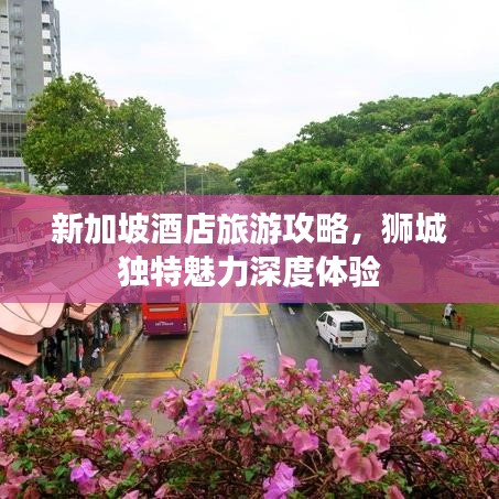 新加坡酒店旅游攻略，狮城独特魅力深度体验