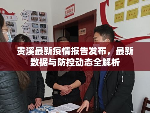 贵溪最新疫情报告发布，最新数据与防控动态全解析