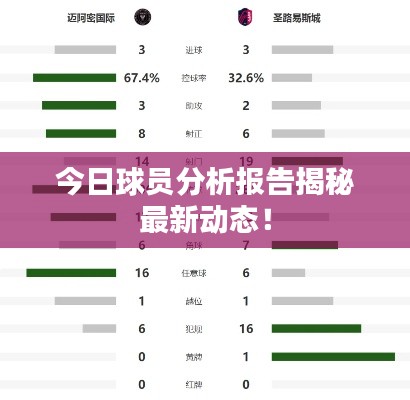 今日球员分析报告揭秘最新动态！