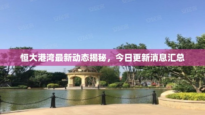 恒大港湾最新动态揭秘，今日更新消息汇总