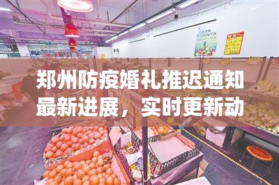 郑州防疫婚礼推迟通知最新进展，实时更新动态
