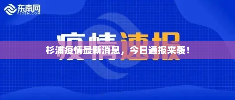 杉浦疫情最新消息，今日通报来袭！