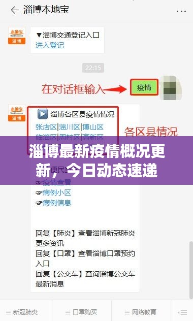 淄博最新疫情概况更新，今日动态速递