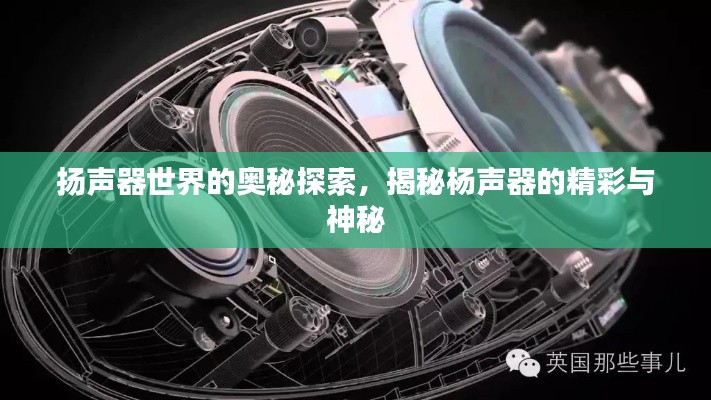 扬声器世界的奥秘探索，揭秘杨声器的精彩与神秘
