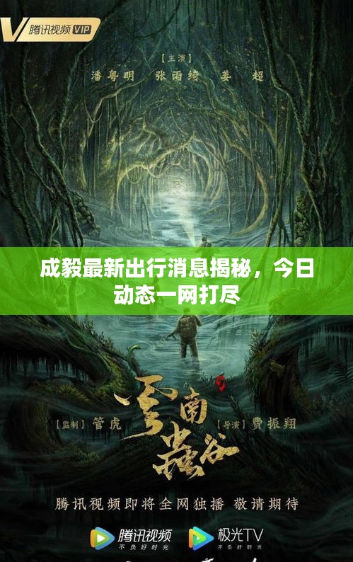 成毅最新出行消息揭秘，今日动态一网打尽