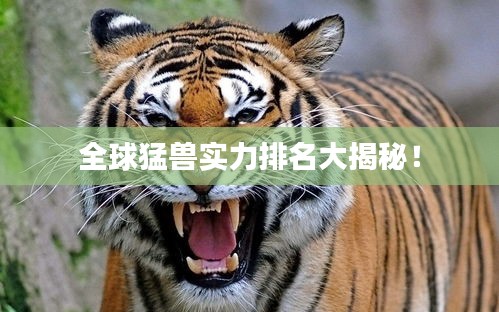 全球猛兽实力排名大揭秘！