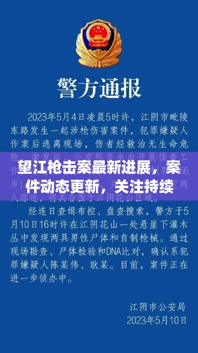 望江枪击案最新进展，案件动态更新，关注持续升温