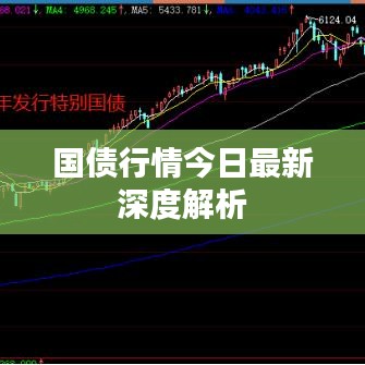 国债行情今日最新深度解析