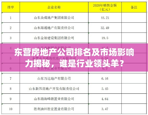 东营房地产公司排名及市场影响力揭秘，谁是行业领头羊？