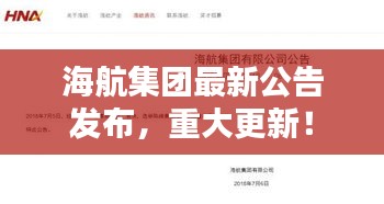 海航集团最新公告发布，重大更新！