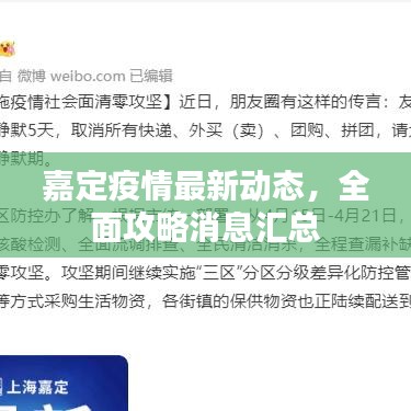 嘉定疫情最新动态，全面攻略消息汇总