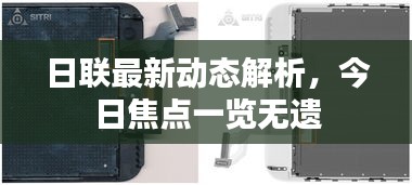日联最新动态解析，今日焦点一览无遗