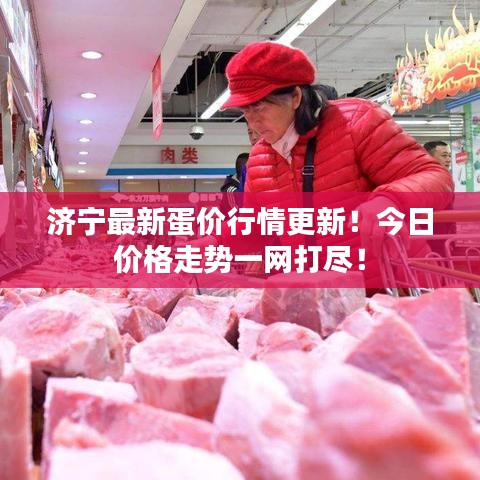 济宁最新蛋价行情更新！今日价格走势一网打尽！