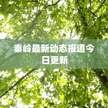 秦岭最新动态报道今日更新