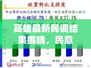 高雄最新民调结果揭晓，民意动向一网打尽