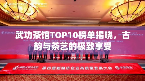 武功茶馆TOP10榜单揭晓，古韵与茶艺的极致享受