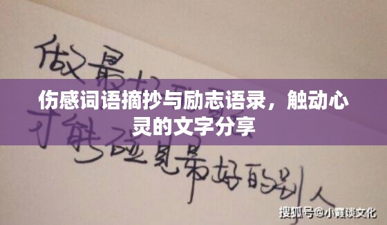 伤感词语摘抄与励志语录，触动心灵的文字分享