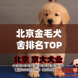 北京金毛犬舍排名TOP10，热门犬舍推荐与评选