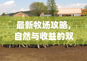 最新牧场攻略，自然与收益的双重盛宴，轻松玩转牧场！