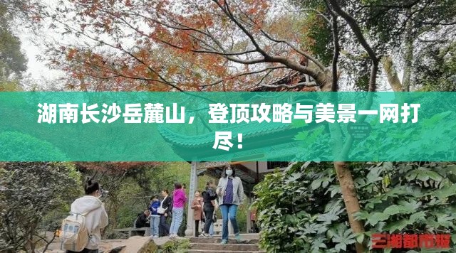 湖南长沙岳麓山，登顶攻略与美景一网打尽！